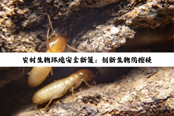 农村生物环境安全新策：创新生物防控技术应对当下生态挑战与热点
