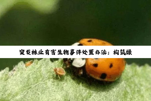 突发林业有害生物事件处置办法：构筑绿色生态安全屏障的法治基石