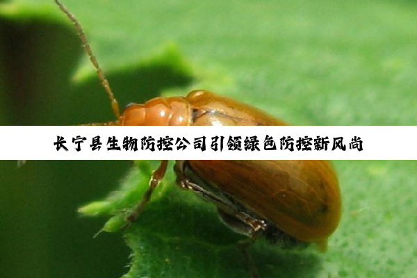 今日科普|长宁县生物防控公司引领绿色防控新风尚：探索AI与生物技术融合的最新应用热点