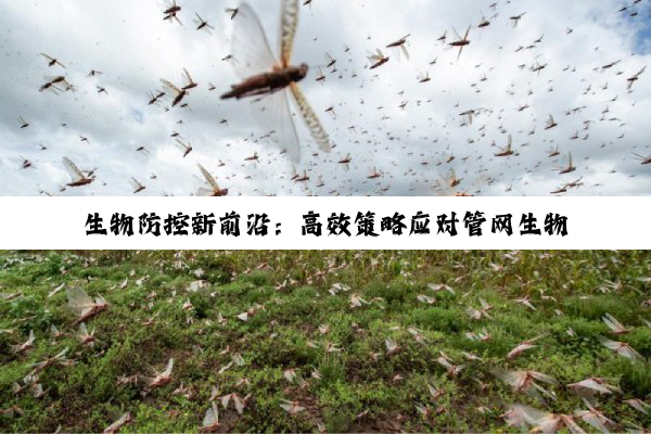 生物防控新前沿：高效策略应对管网生物膜污染与防控技术探索