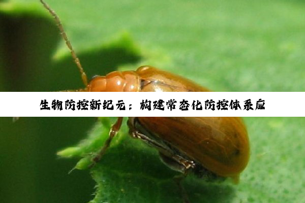 生物防控新纪元：构建常态化防控体系应对外来物种入侵热点挑战