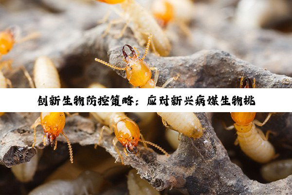创新生物防控策略：应对新兴病媒生物挑战与公共卫生安全
