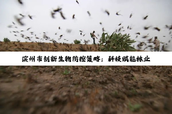 今日科普|滨州市创新生物防控策略：科技赋能林业有害生物绿色治理新热点