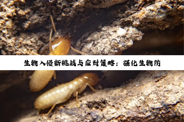 生物入侵新挑战与应对策略：强化生物防控的热点分析与实践