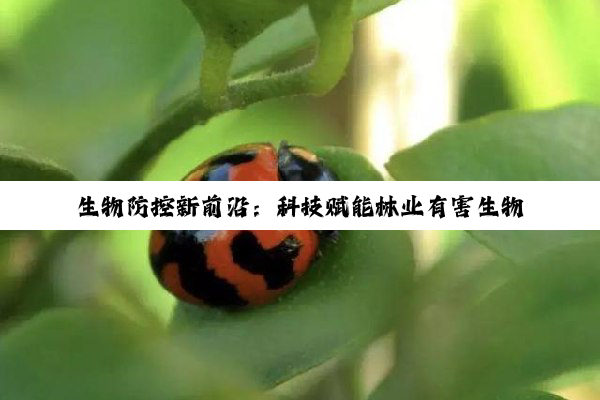 生物防控新前沿：科技赋能林业有害生物绿色防控策略与最新实践