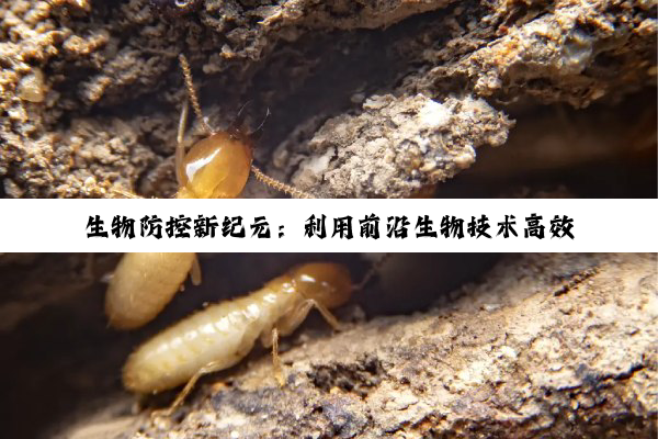 今日科普|Z6尊龙官网入口: 生物防控新纪元：利用前沿生物技术高效防控中草药线虫病害