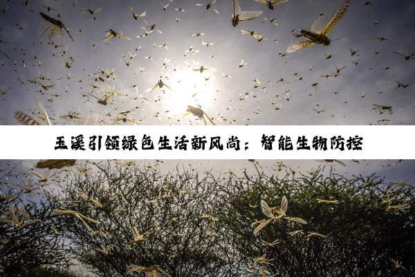 玉溪引领绿色生活新风尚：智能生物防控技术守护居家生物污染安全