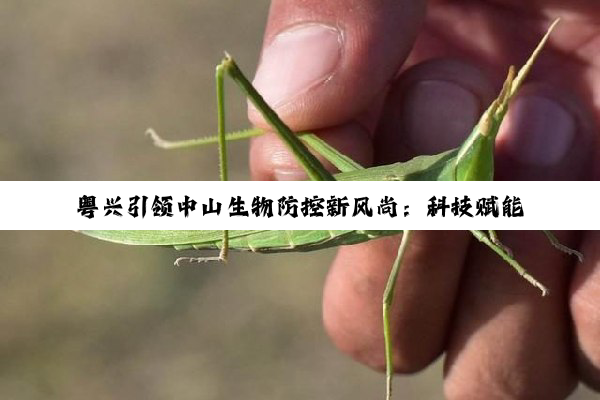 今日科普|粤兴引领中山生物防控新风尚：科技赋能，绿色应对有害生物挑战