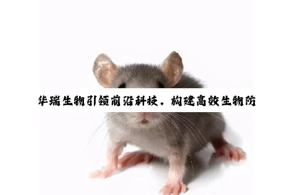 华瑞生物引领前沿科技，构建高效生物防控体系应对最新疫情挑战