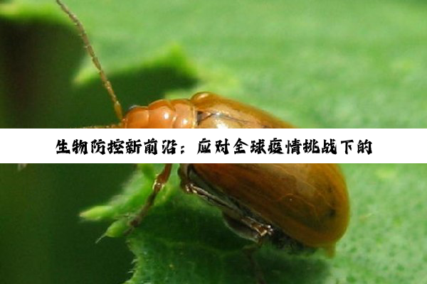 今日科普|尊龙·凯时[人生就是搏!]: 生物防控新前沿：应对全球疫情挑战下的生物危害防控策略与技术创新