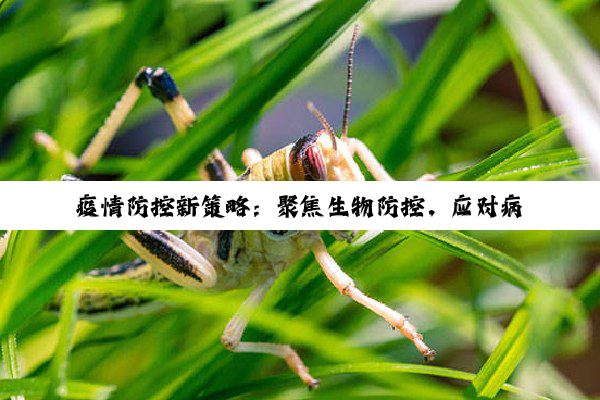 疫情防控新策略：聚焦生物防控，应对病媒生物传播热点挑战