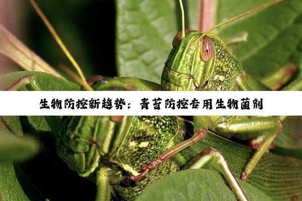 生物防控新趋势：青苔防控专用生物菌剂的绿色革命与最新应用热点