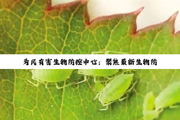 为民有害生物防控中心：聚焦最新生物防控热点，共筑健康安全防线