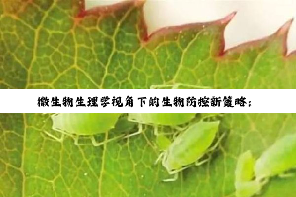 今日科普|Z6尊龙官网入口: 微生物生理学视角下的生物防控新策略：应对疫情挑战与最新热点