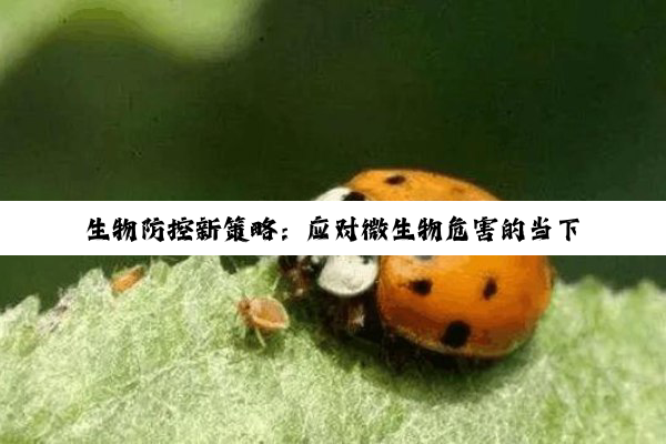 生物防控新策略：应对微生物危害的当下热点与挑战