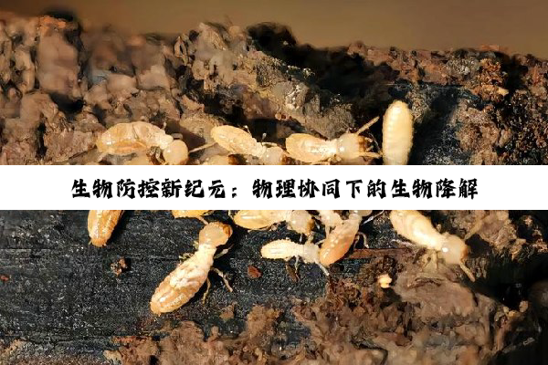 今日科普|生物防控新纪元：物理协同下的生物降解技术前沿探索与环保热点应用