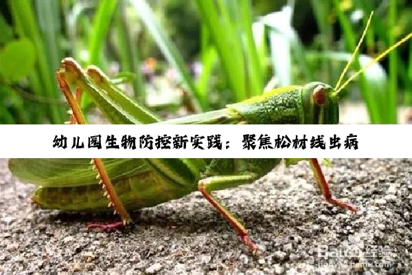 今日科普|尊龙·凯时[人生就是搏!]: 幼儿园生物防控新实践：聚焦松材线虫病与病媒生物防控的热点举措