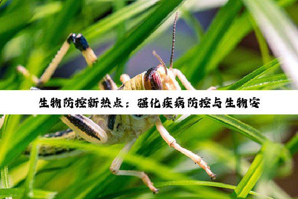 今日科普|生物防控新热点：强化疾病防控与生物安全保障措施