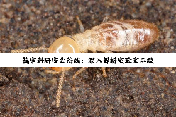 【科普解答】筑牢科研安全防线：深入解析实验室二级生物安全防护的奥秘与责任