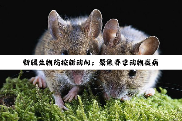 今日科普|新疆生物防控新动向：聚焦春季动物疫病与草原有害生物防控策略