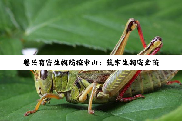 今日科普|粤兴有害生物防控中山：筑牢生物安全防线，引领最新生物防控技术热点