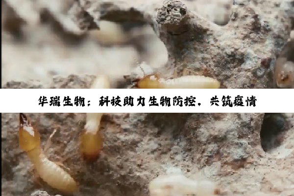 华瑞生物：科技助力生物防控，共筑疫情防线