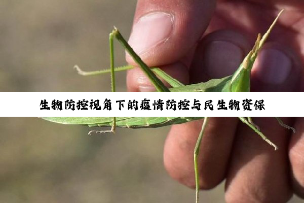 今日科普|生物防控视角下的疫情防控与民生物资保障新策略