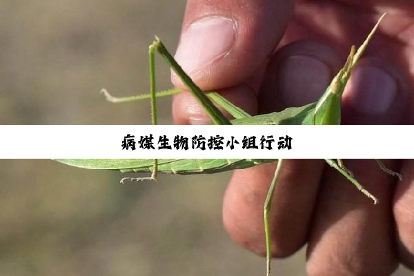 病媒生物防控小组行动
