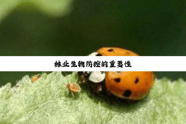 今日科普|林业生物防控的重要性