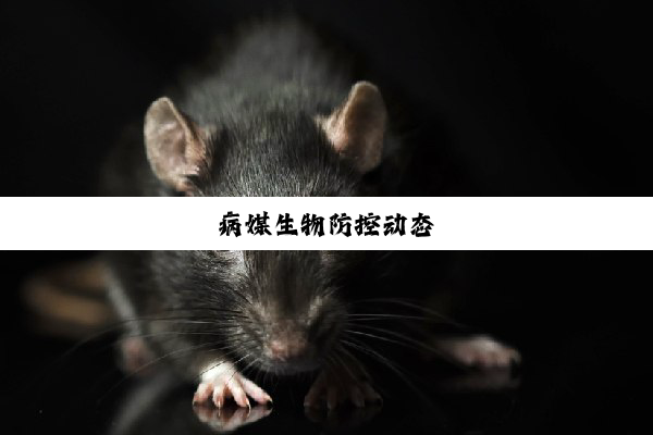 今日科普|病媒生物防控动态