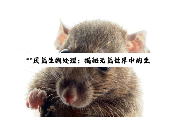 【科普解答】**厌氧生物处理：揭秘无氧世界中的生物净化艺术与环保新篇章**