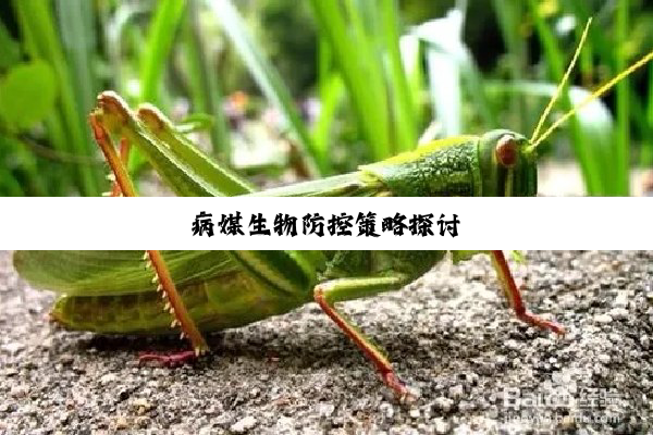 今日科普|病媒生物防控策略探讨