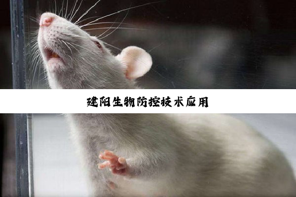 建阳生物防控技术应用
