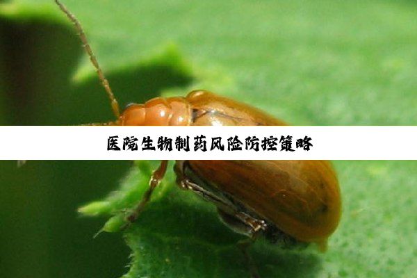 医院生物制药风险防控策略
