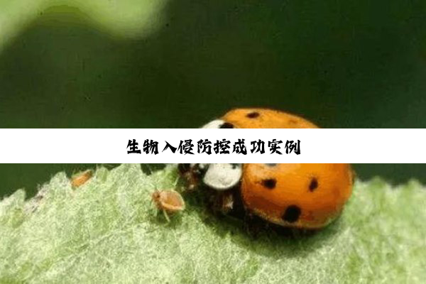 生物入侵防控成功实例