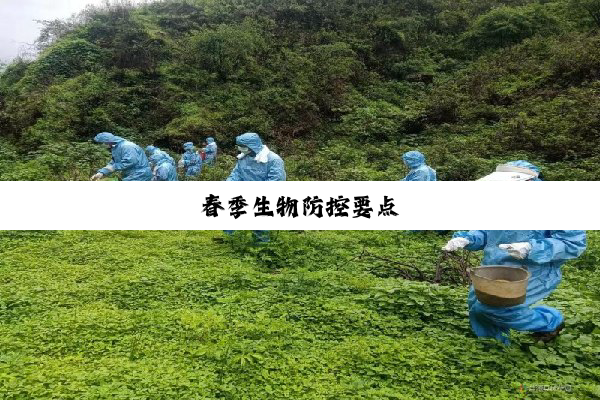 今日科普|春季生物防控要点