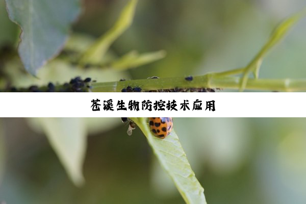 苍溪生物防控技术应用