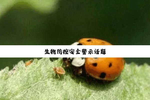 生物防控安全警示话题