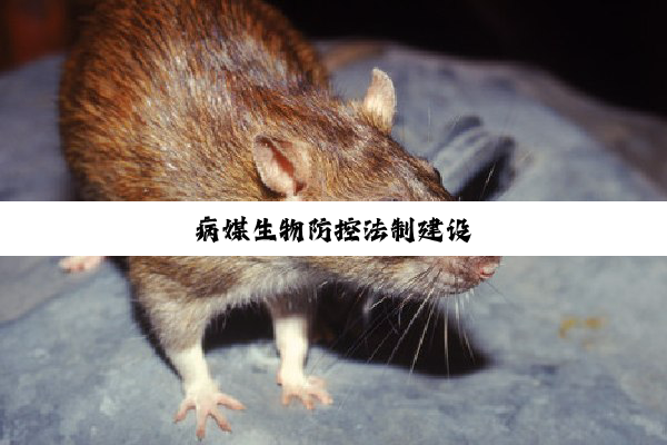 今日科普|病媒生物防控法制建设