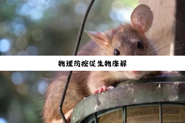 物理防控促生物降解