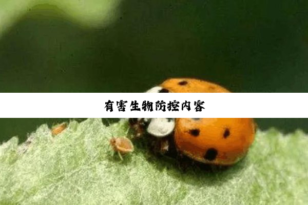 有害生物防控内容