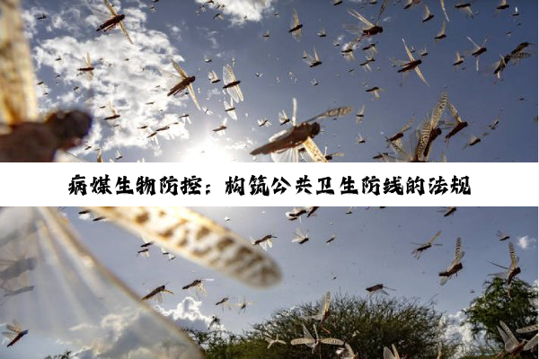 【科普解答】病媒生物防控：构筑公共卫生防线的法规与实践深度剖析