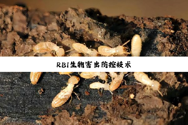 今日科普|RBI生物害虫防控技术