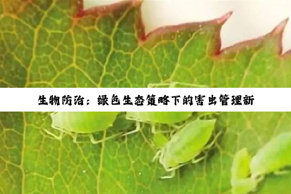 【科普解答】生物防治：绿色生态策略下的害虫管理新篇章
