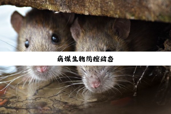 今日科普|病媒生物防控动态
