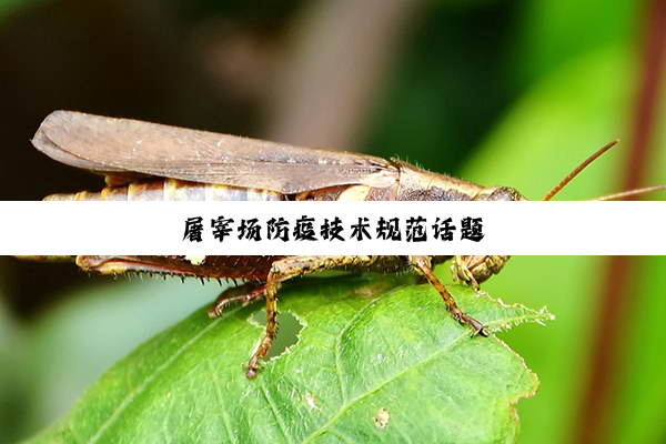 屠宰场防疫技术规范话题