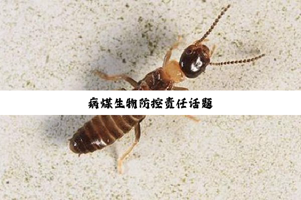 今日科普|病煤生物防控责任话题