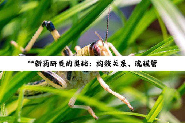 **新药研发的奥秘：构效关系、流程管理与政策护航的深度探索**
