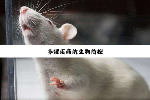 今日科普|养猪疾病的生物防控