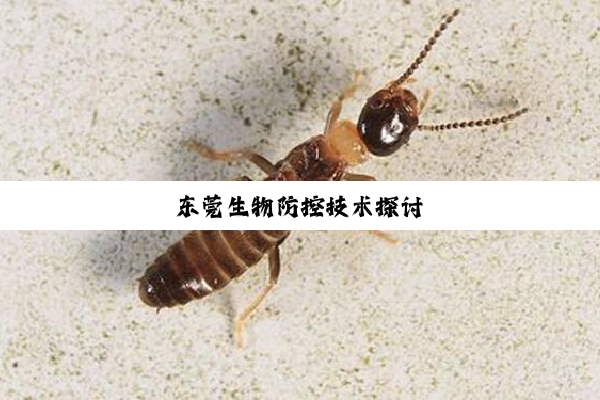 今日科普|东莞生物防控技术探讨